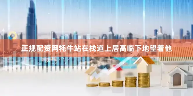 正规配资网牦牛站在栈道上居高临下地望着他