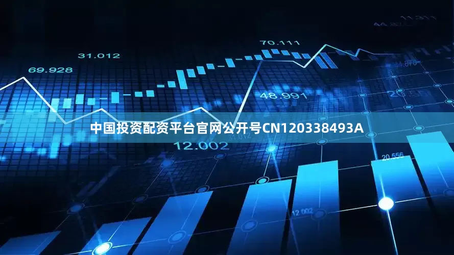 中国投资配资平台官网公开号CN120338493A