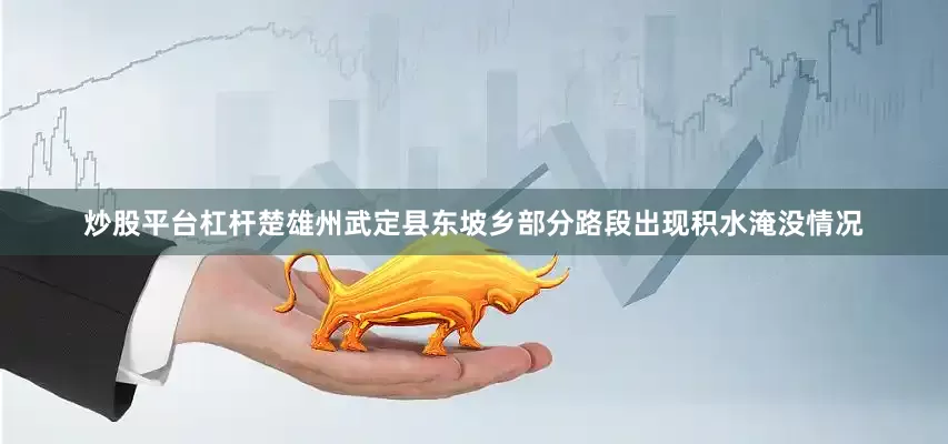 炒股平台杠杆楚雄州武定县东坡乡部分路段出现积水淹没情况