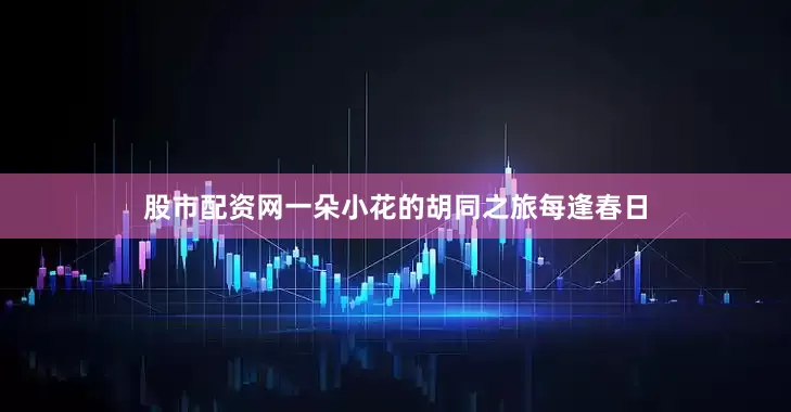 股市配资网　　一朵小花的胡同之旅　　每逢春日